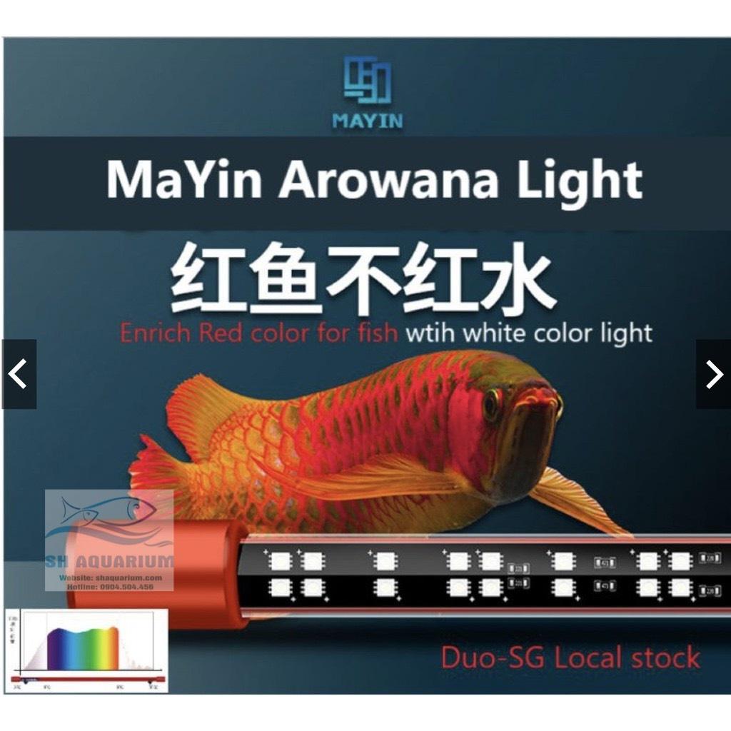 ĐÈN LED CÁ RỒNG MAYIN SUPER COLOUR CHUYÊN DỤNG CHO HUYẾT LONG 72CM