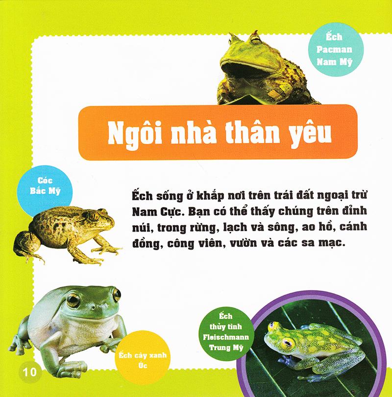 Khám Phá Thế Giới Diệu Kì - Loài Ếch
