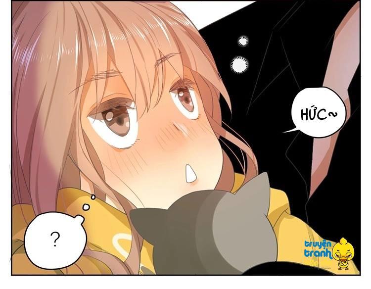 cứu mạng ! loài mèo thống trị thế giới rồi ! chapter 23 15