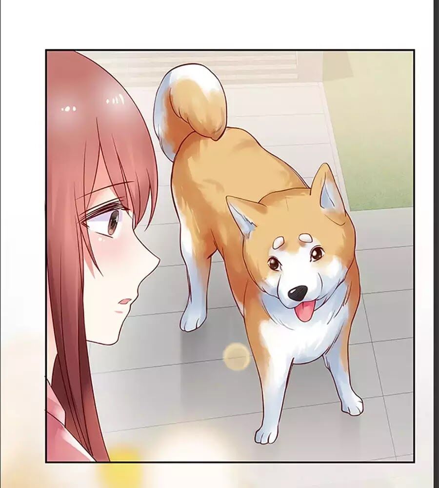 bạn trai 1/4 của tôi chapter 10 146