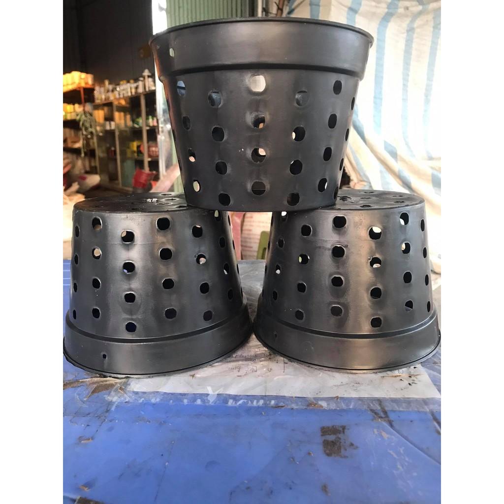 Combo 10 Chậu nhựa đen nhiều lỗ trồng Lan phi 16 cm
