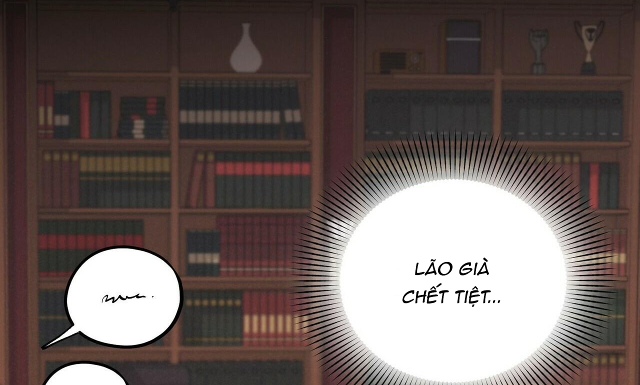 chàng dâu nhà họ kang chapter 11 4