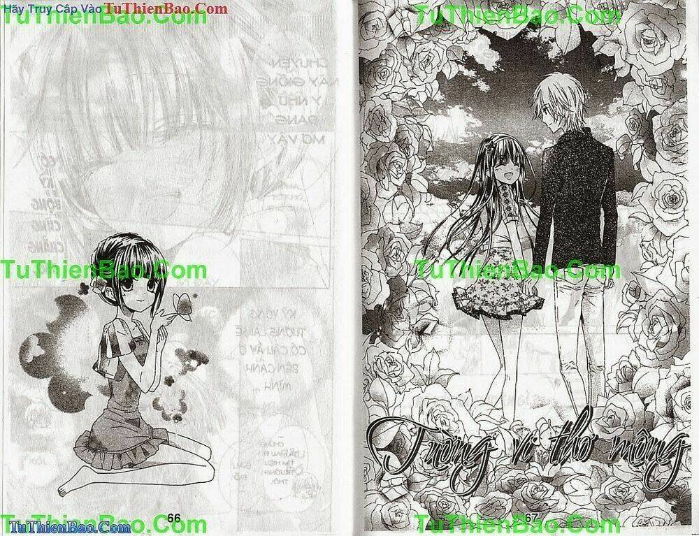 tường vi thơ mộng chapter 3 34