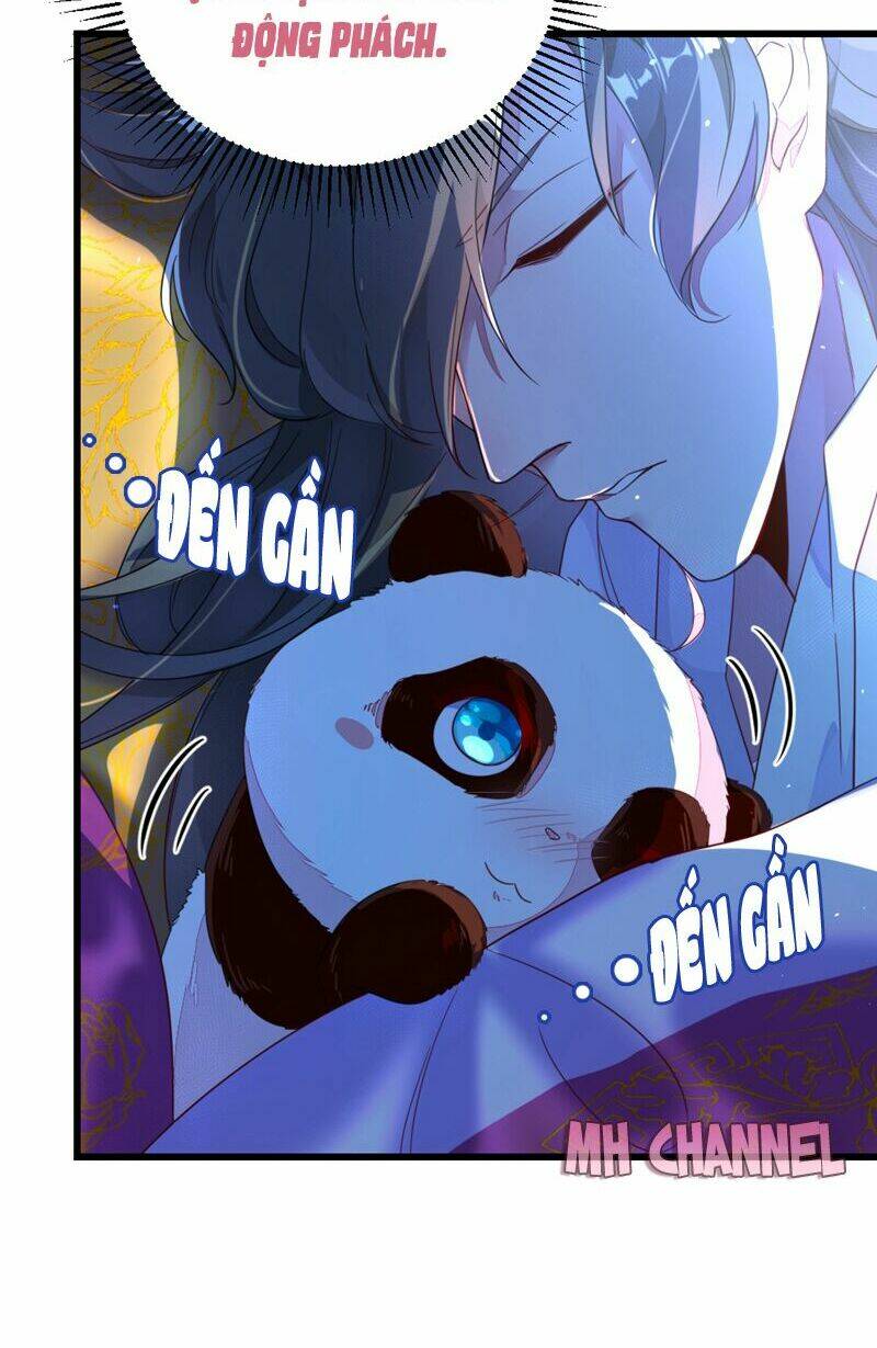 thiên thần gấu trúc muốn được ôm chapter 16 14