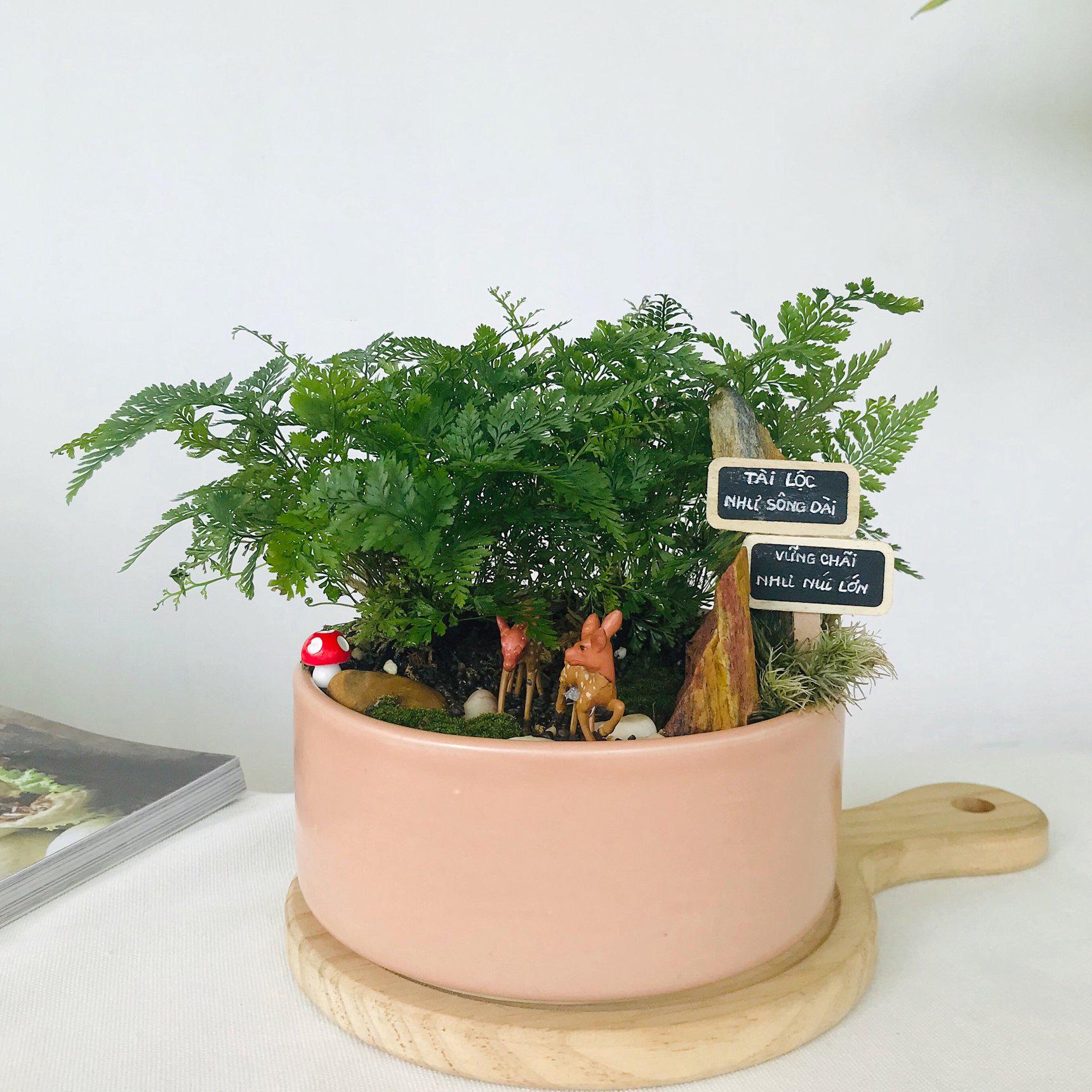 Chậu Sứ Trồng Cây Cảnh Mini, Sen đá, Xương rồng, Tiểu Cảnh Terrarium Hình Trụ Thấp - Chậu nhỏ: 12x6cm