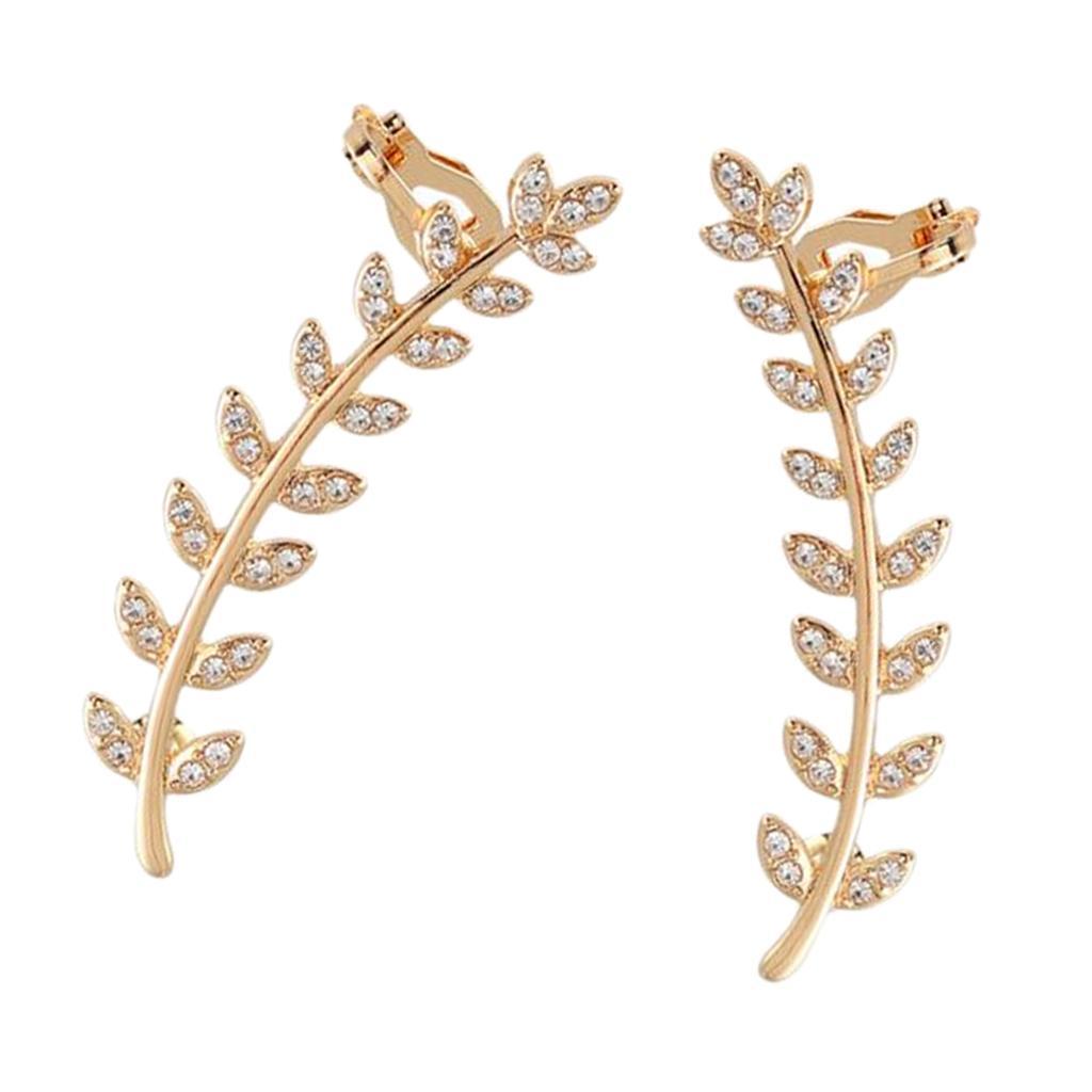 Earrings Ear Studs