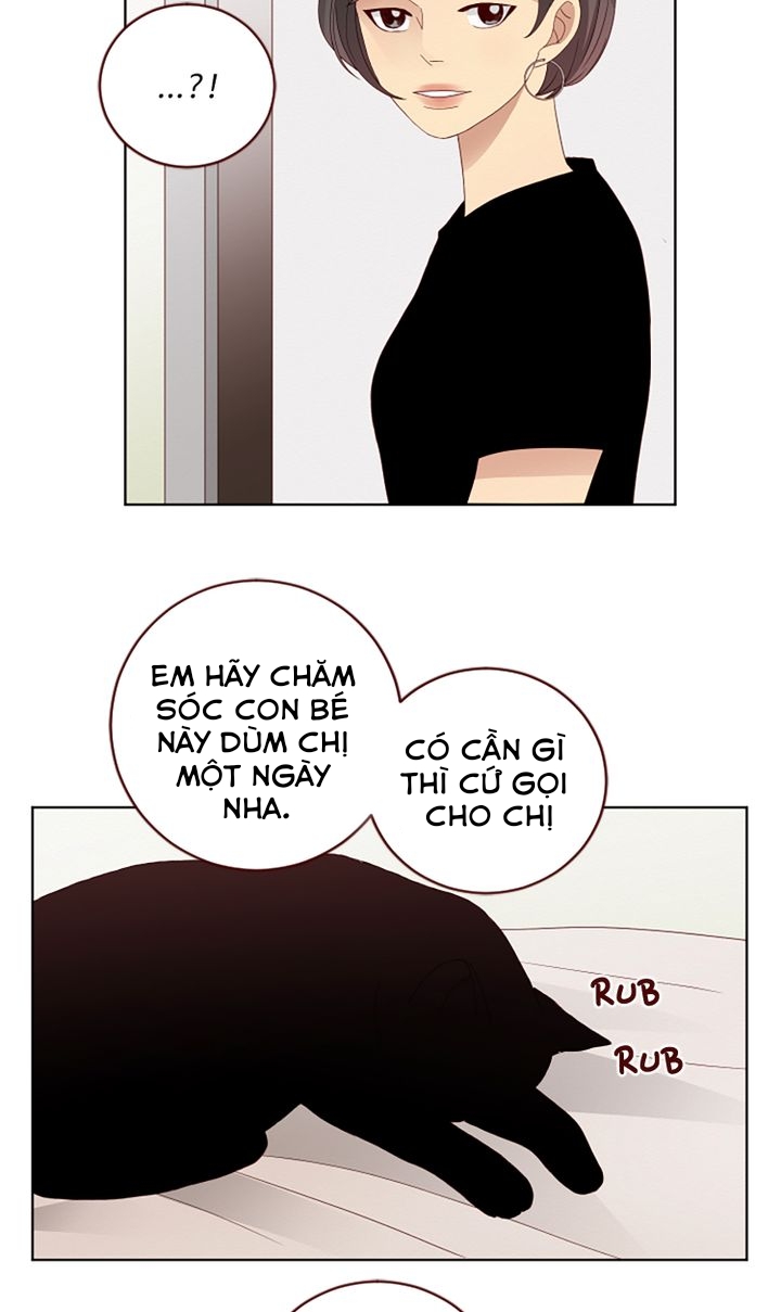 crush của tôi chapter 78 8