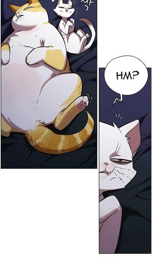 biến thân thành mèo chapter 246 59