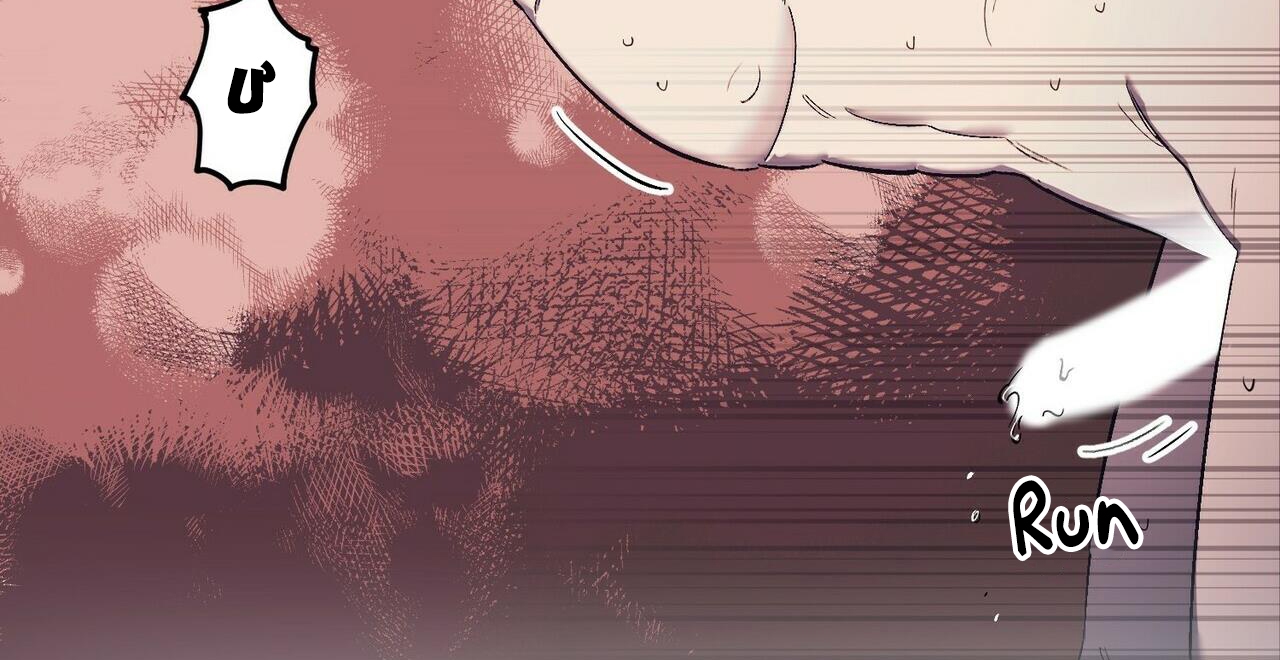 chàng dâu nhà họ kang chapter 17 146