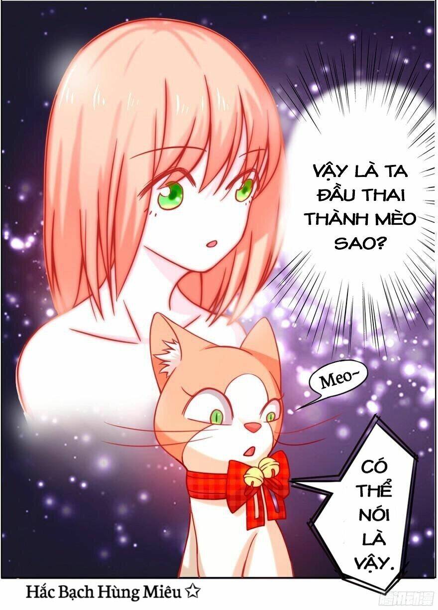 chủ nhân là ảnh đế chapter 1.2 18