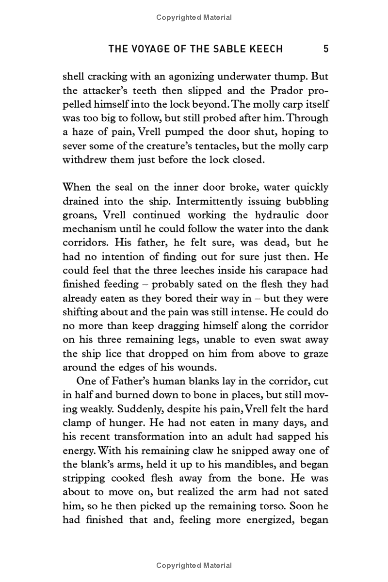 Sách ngoại văn: The Voyage Of The Sable Keech