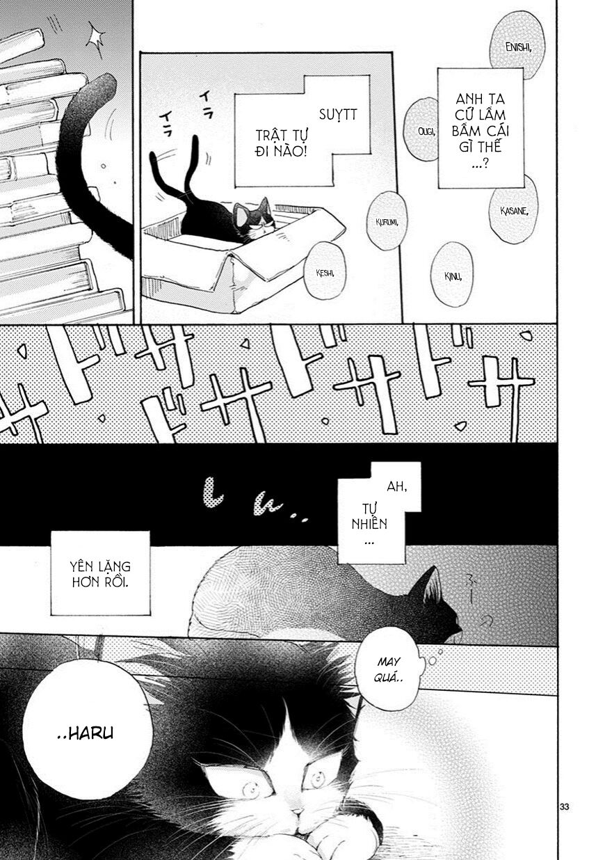 doukyonin wa hiza, tokidoki, atama no ue chapter 2.5 7