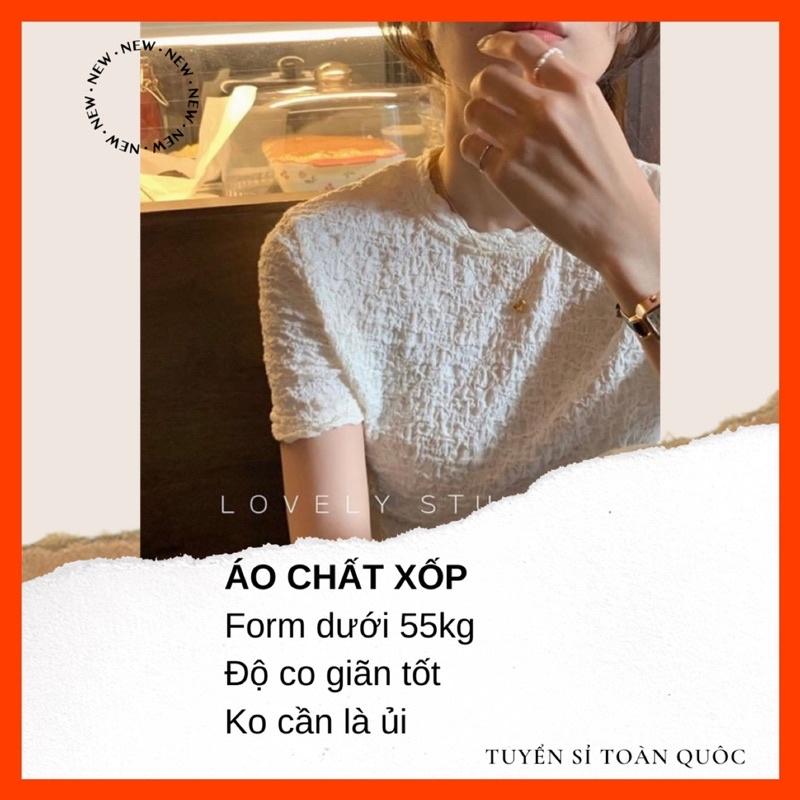 Áo thun trơn chất xốp nhăn cổ tròn 3 màu form vừa Lyn Closet