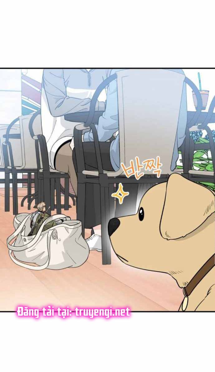 ngài kỵ sĩ, xin hãy cứu tôi! chapter 8 27