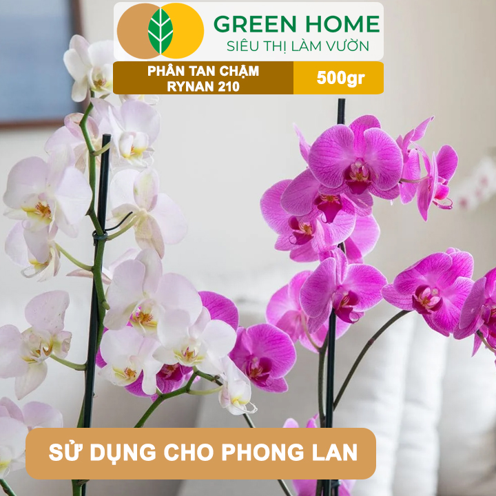 Phân Tan Chậm GreenHome, Rynan 210, Bao 500gr, Chuyên Dùng Cho Phong Lan Trưởng Thành