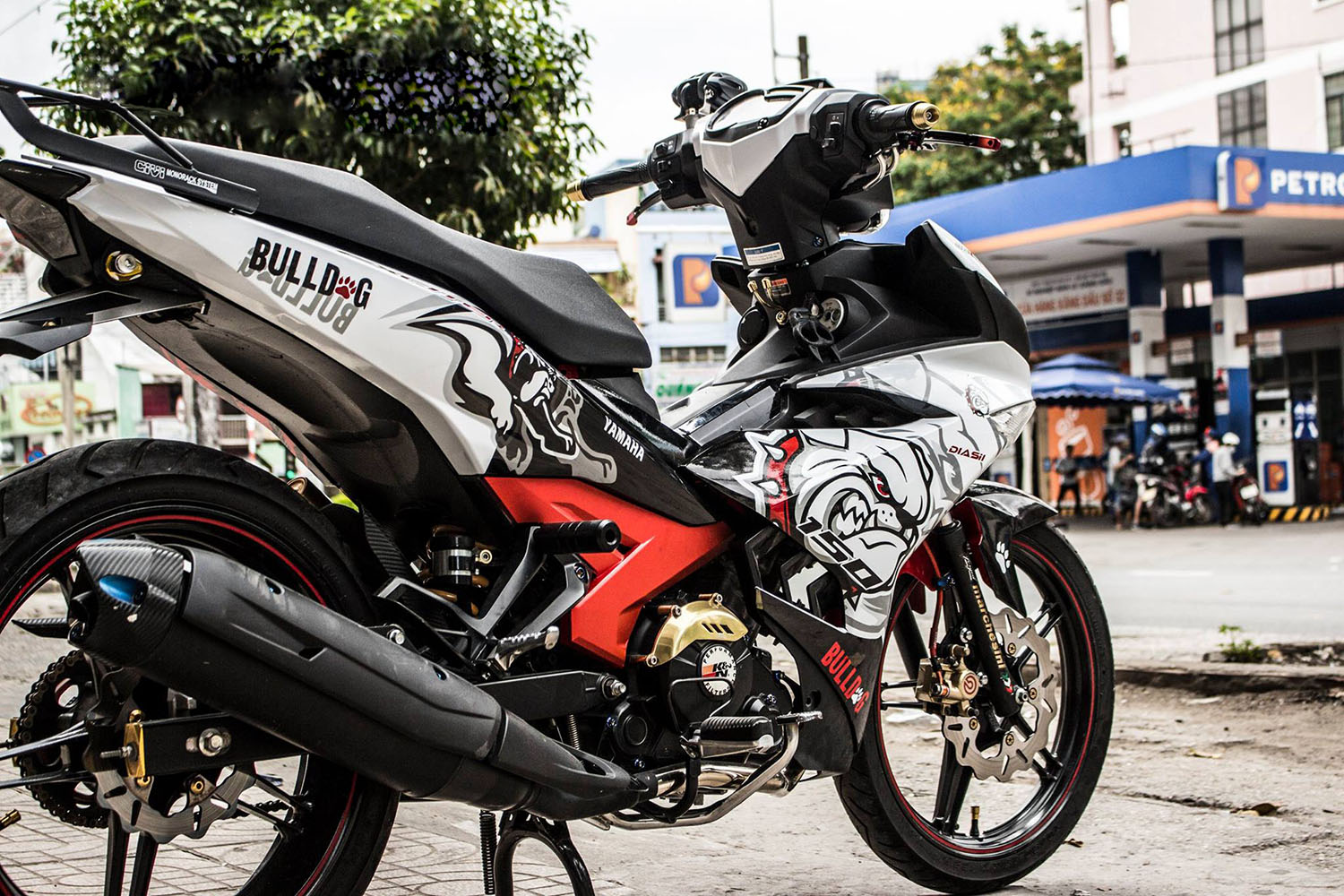 Tem trùm Exciter 150 Bulldog Racing