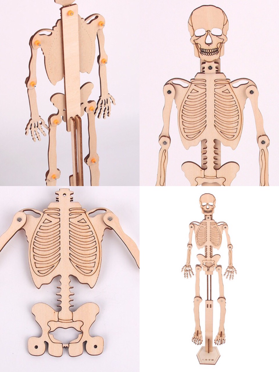Đồ chơi khoa học Stem gỗ an toàn với trẻ,bộ đồ chơi lắp ráp giúp bé hiểu về cấu tạo hệ cơ xương