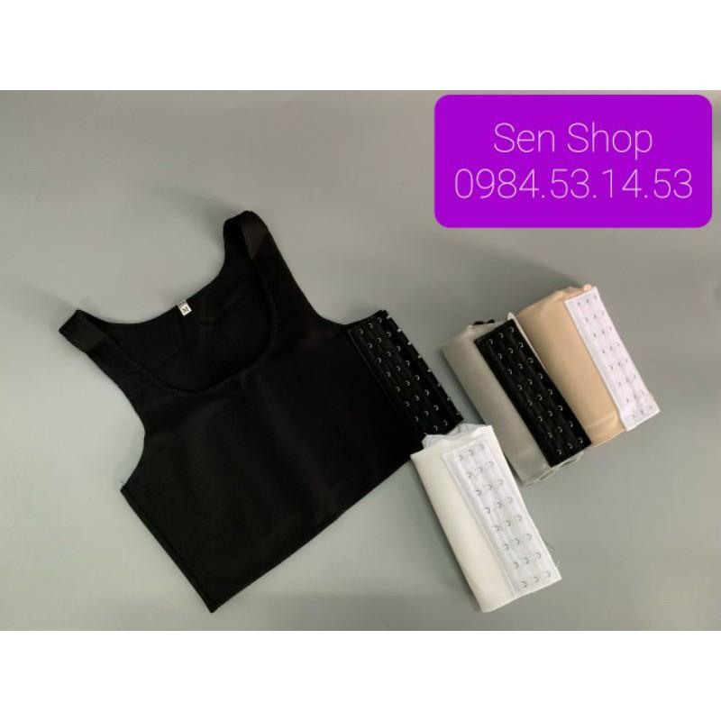 COMBO 3 ÁO NỊT TOMBOY SB TRANS KHÔNG VIỀN