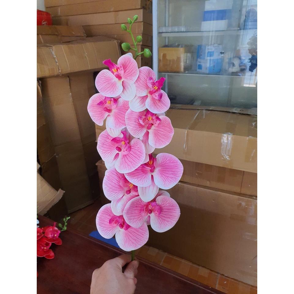 Cành lan hồ điệp giả 9 bông chất cao su non, hàng đẹp.