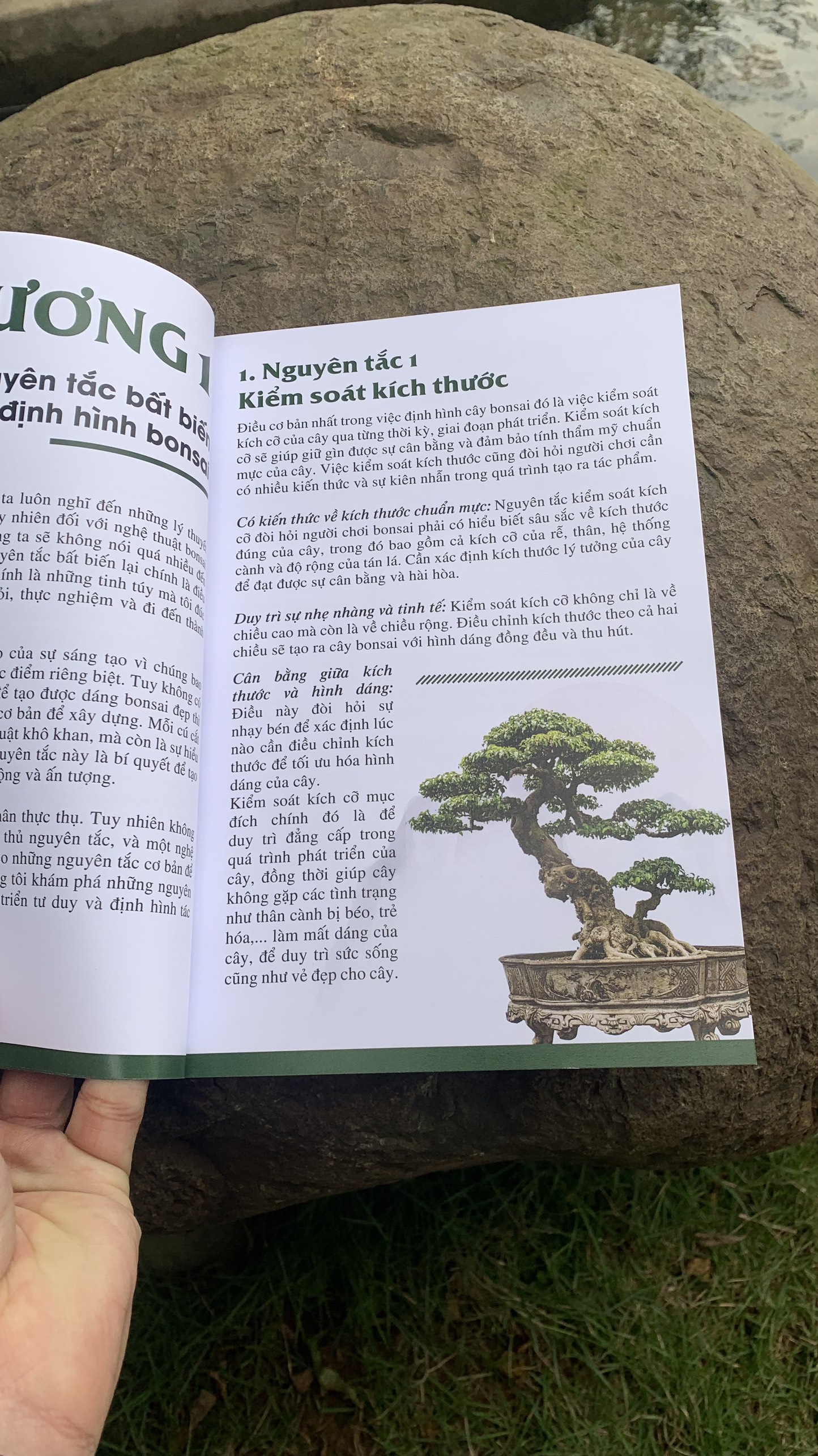 LÀM CHỦ TƯ DUY ĐỊNH HÌNH TÁC PHẨM BONSAI ( Nghệ nhân Nam Lê)