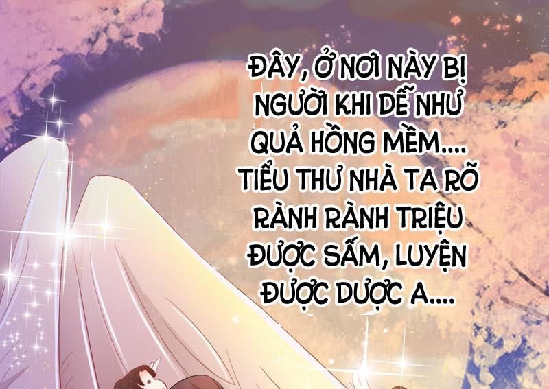 tuyệt thế luyện đan sư chapter 5 30