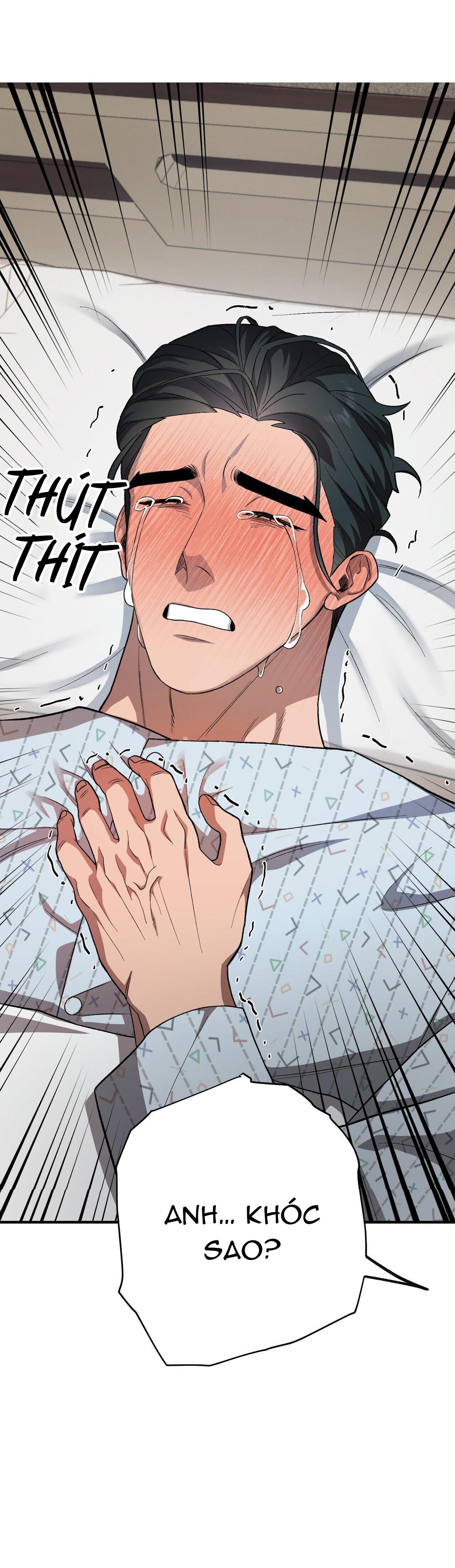 làm dâu nhà tài phiệt họ kang chapter 55 70