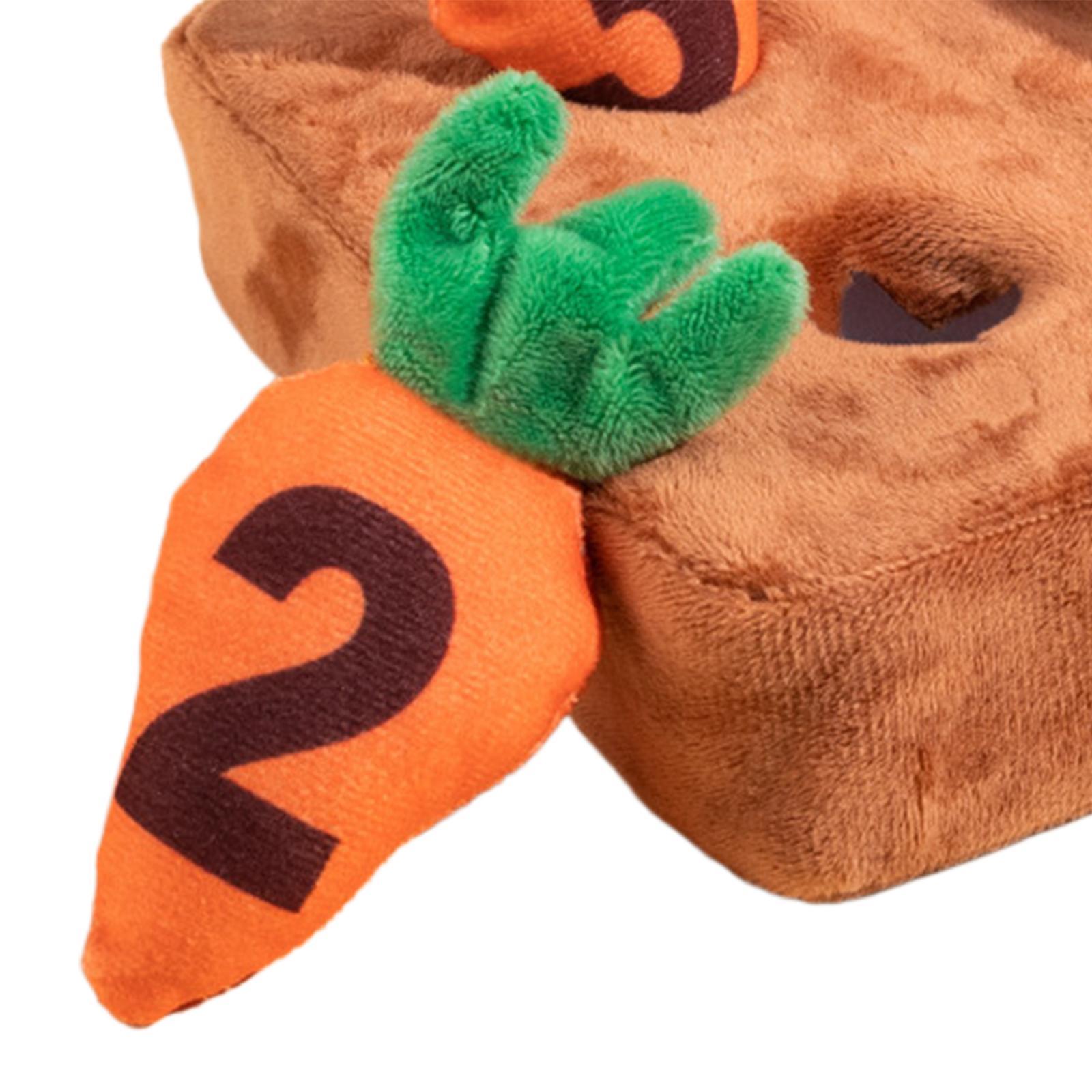 Interactive Dog Toy Training Blanket Pet Foraging Mat Dog Carrot Plush Toy