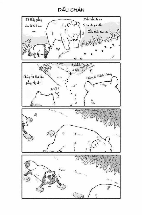 gấu và tanuki chapter 3 2