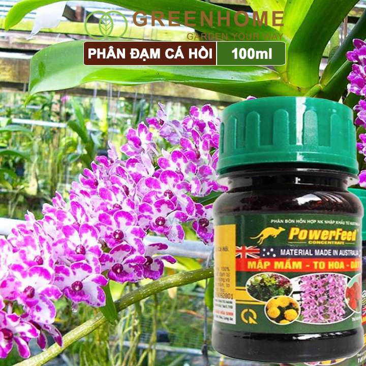 Phân đạm cá Powerfeed, chai 100ml, chiết xuất cá hồi, mập mầm, to hoa, dày cánh |Greenhome