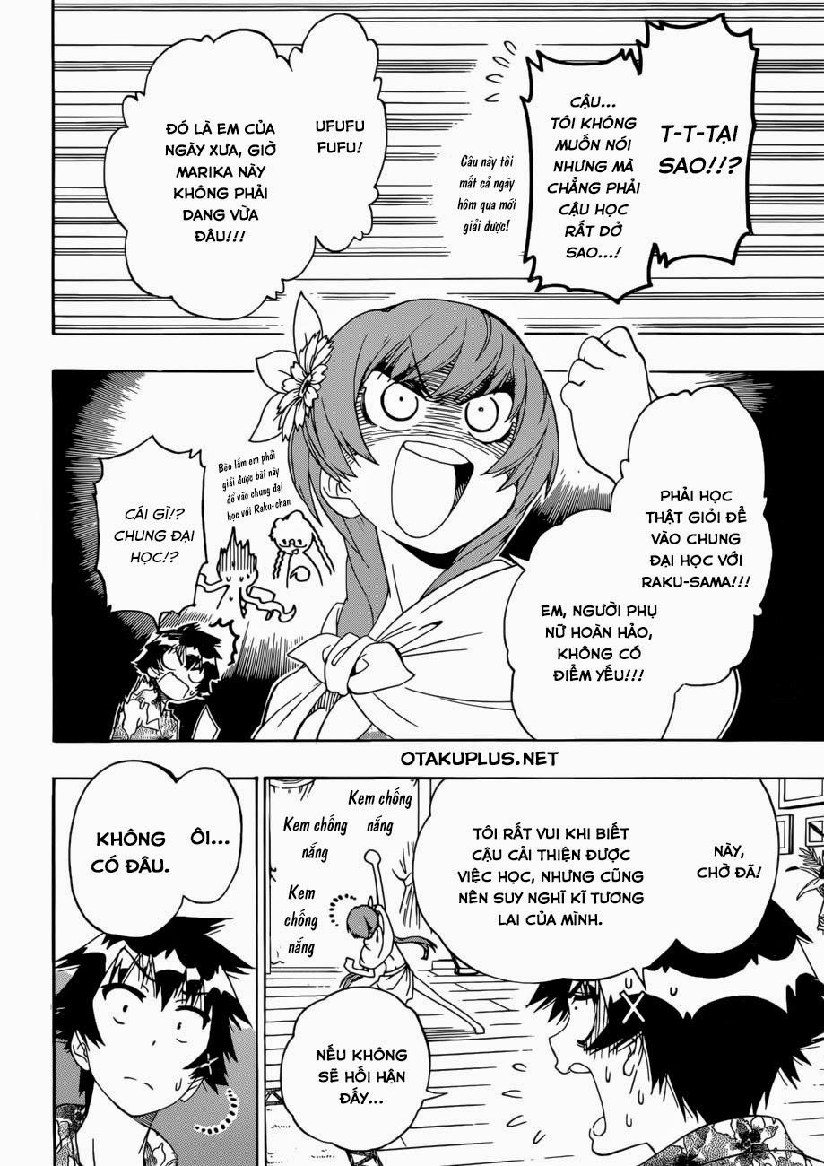 nisekoi - tình yêu giả tạo chapter 169 16