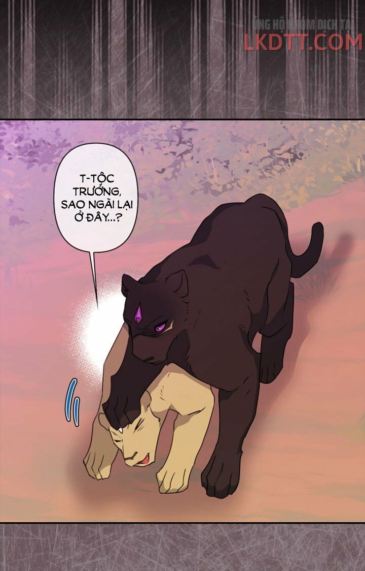 tôi đang nuôi dưỡng một con quái thú chapter 34 28