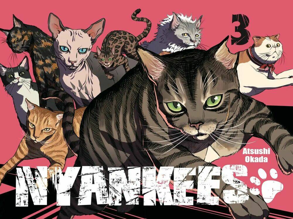 nyankees chapter 12 6