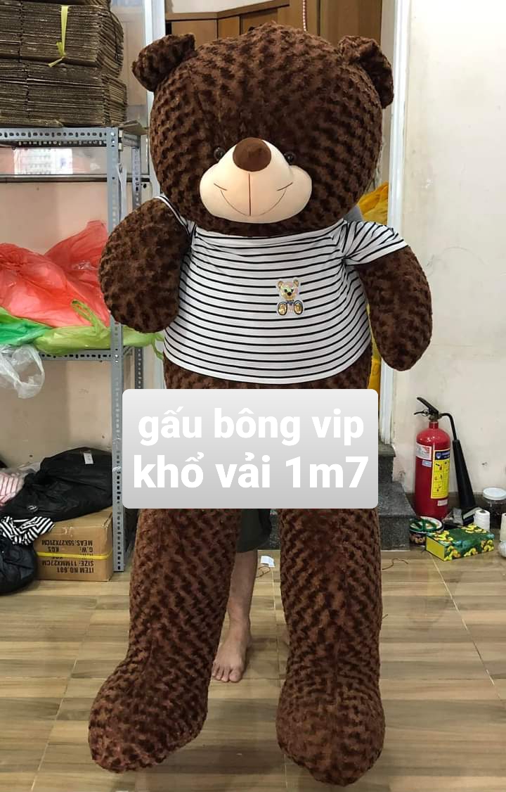 Gấu Bông Teddy Cao Cấp- Thú Nhồi Bông Qùa Tặng Cao Cấp