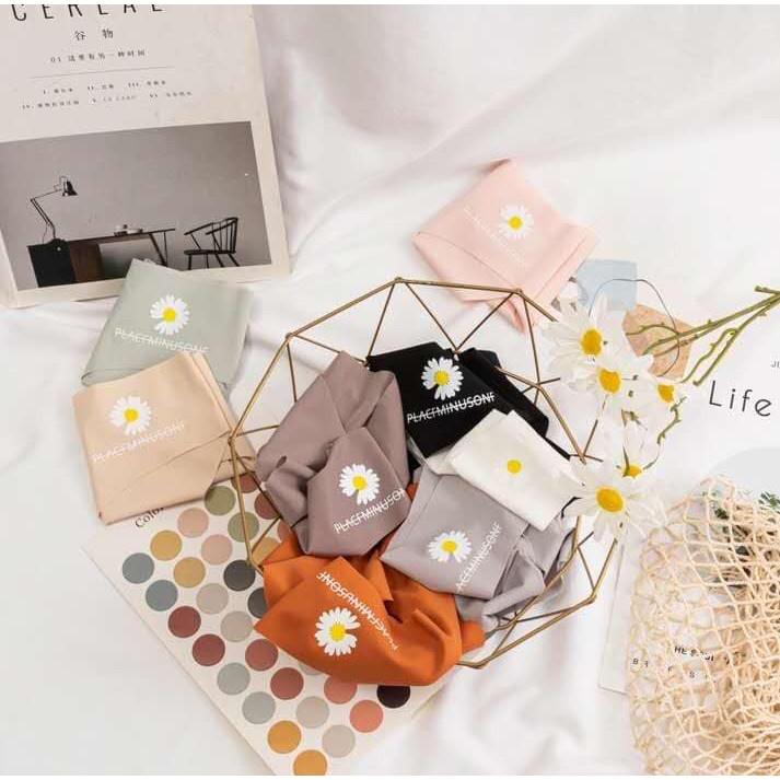 COMBO 5 QUẦN LÓT HOA CÚC NỮ HÀNG ĐẸP MỀM MỊN KHÁNG KHUẨN