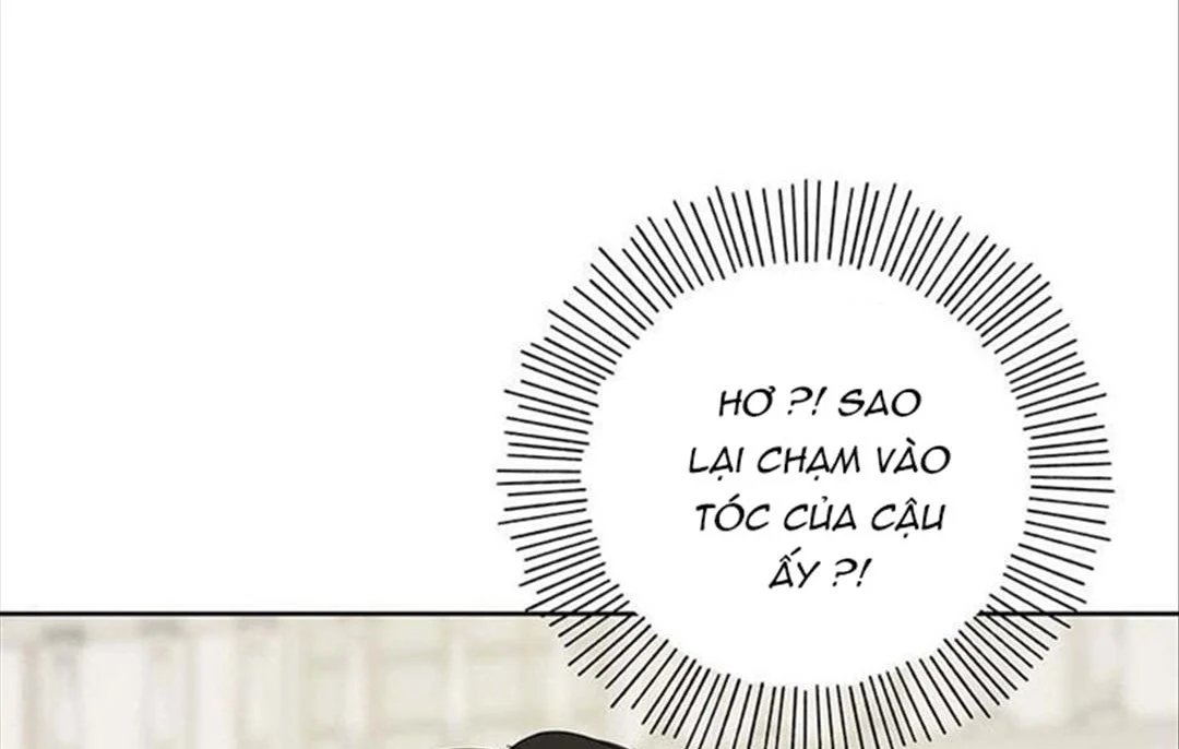 chuyện quái gì với giấc mơ đó vậy chapter 33 154