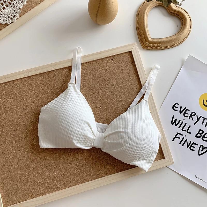 ÁO BRA COTTON NƠ ĐIỆU SANG CHẢNH ĐỆM DÀY KHÔNG GỌNG