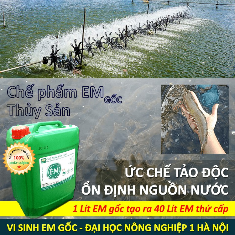 Chế phẩm sinh học EM gốc (EM1). Men vi sinh Đại Học Nông Nghiệp 1 Hà Nội. Chứa hàng tỷ bào tử hữu hiệu. Từ 1 lít EM gốc sản xuất ra 40 lít EM thứ cấp. Can 10 lít. HSD: 2 năm