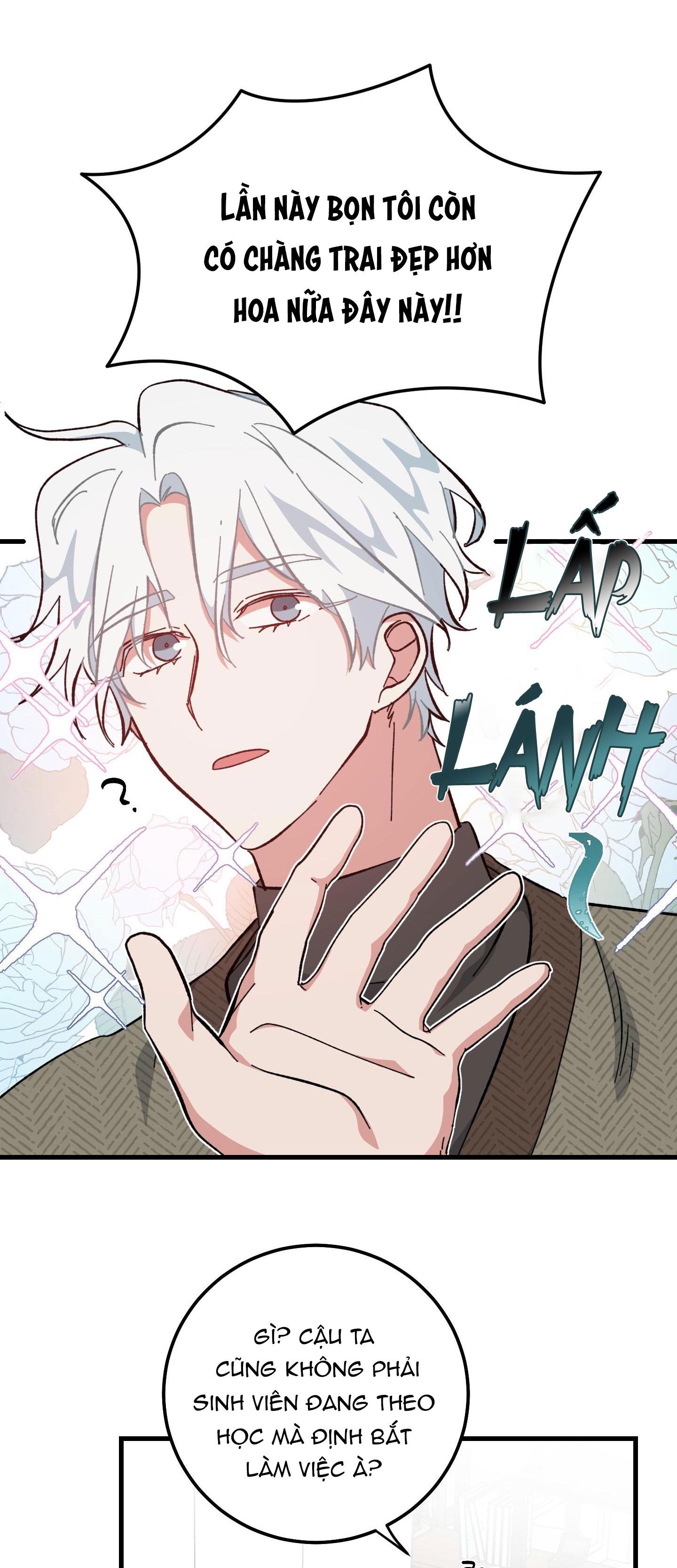 yêu tôi đi, thần hộ mệnh chapter 33 23