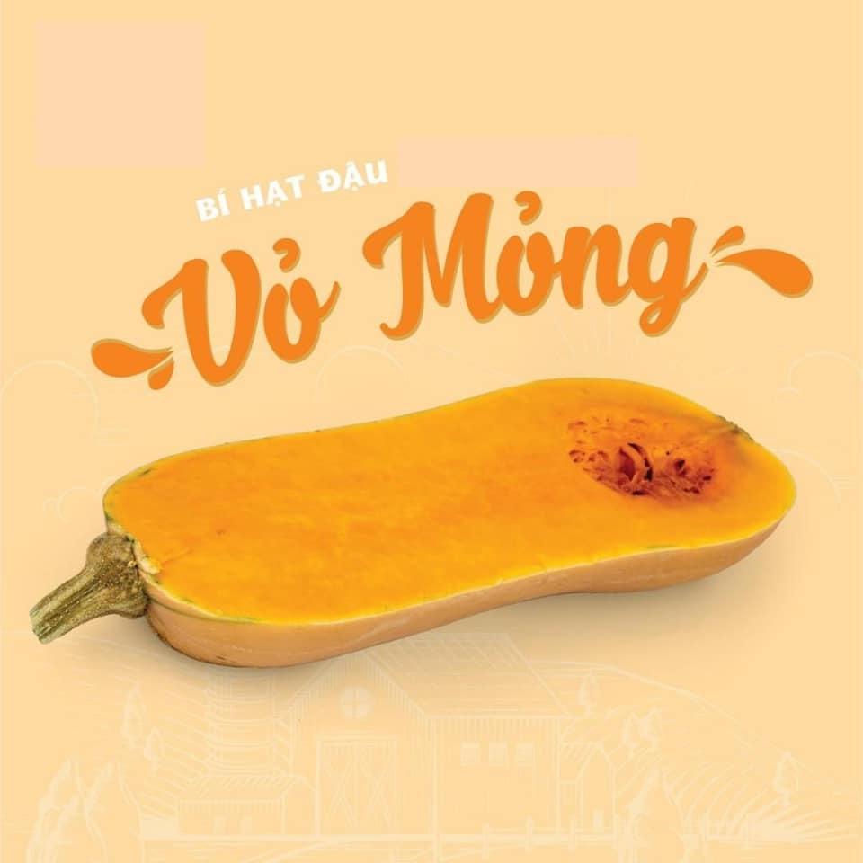 HẠT GIỐNG BÍ HẠT ĐẬU GÓI 10G - NĂNG SUẤT CAO, NHANH THU HOẠCH TỶ LỆ NẢY MẦM CAO