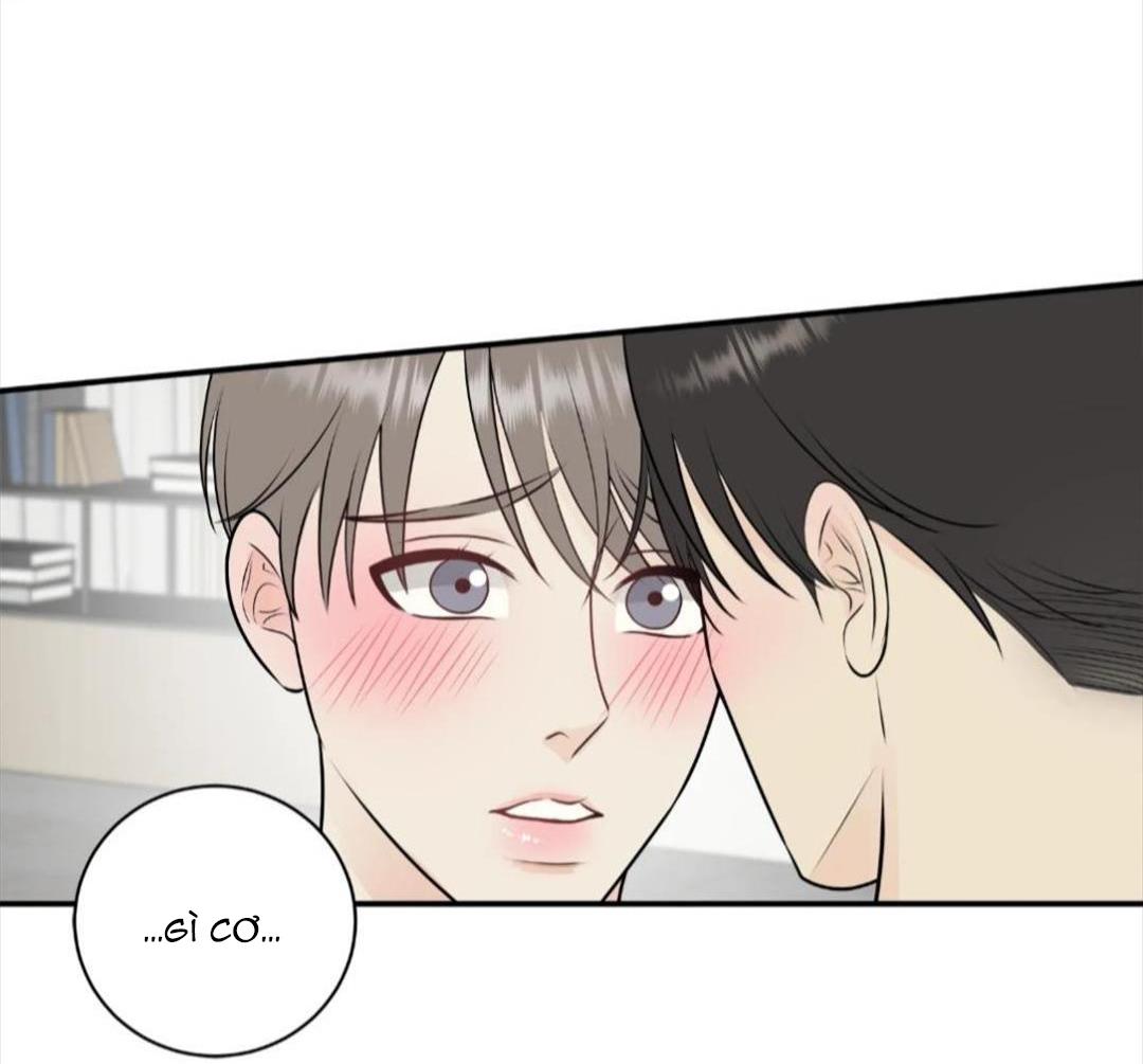 hạnh phúc trọn vẹn chapter 22 31