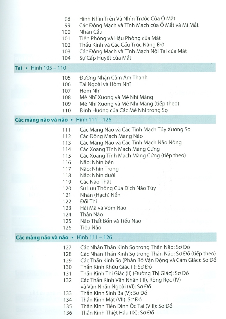 Atlas Giải Phẫu Người (Ấn Bản Lần Thứ 7 Năm 2021)