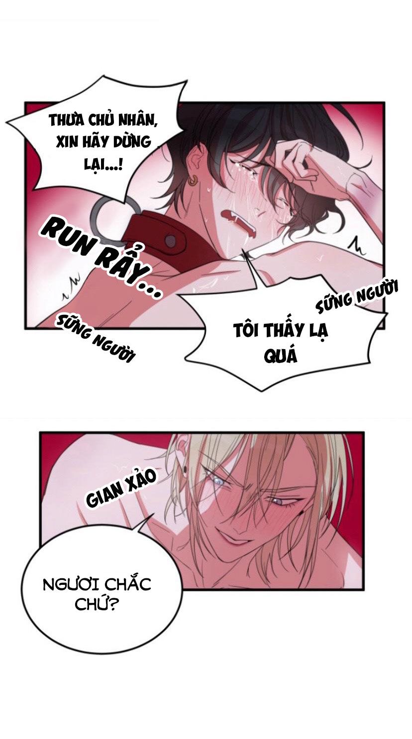 khẩu vị và sự tôn thờ của người yêu tôi chapter 5 28