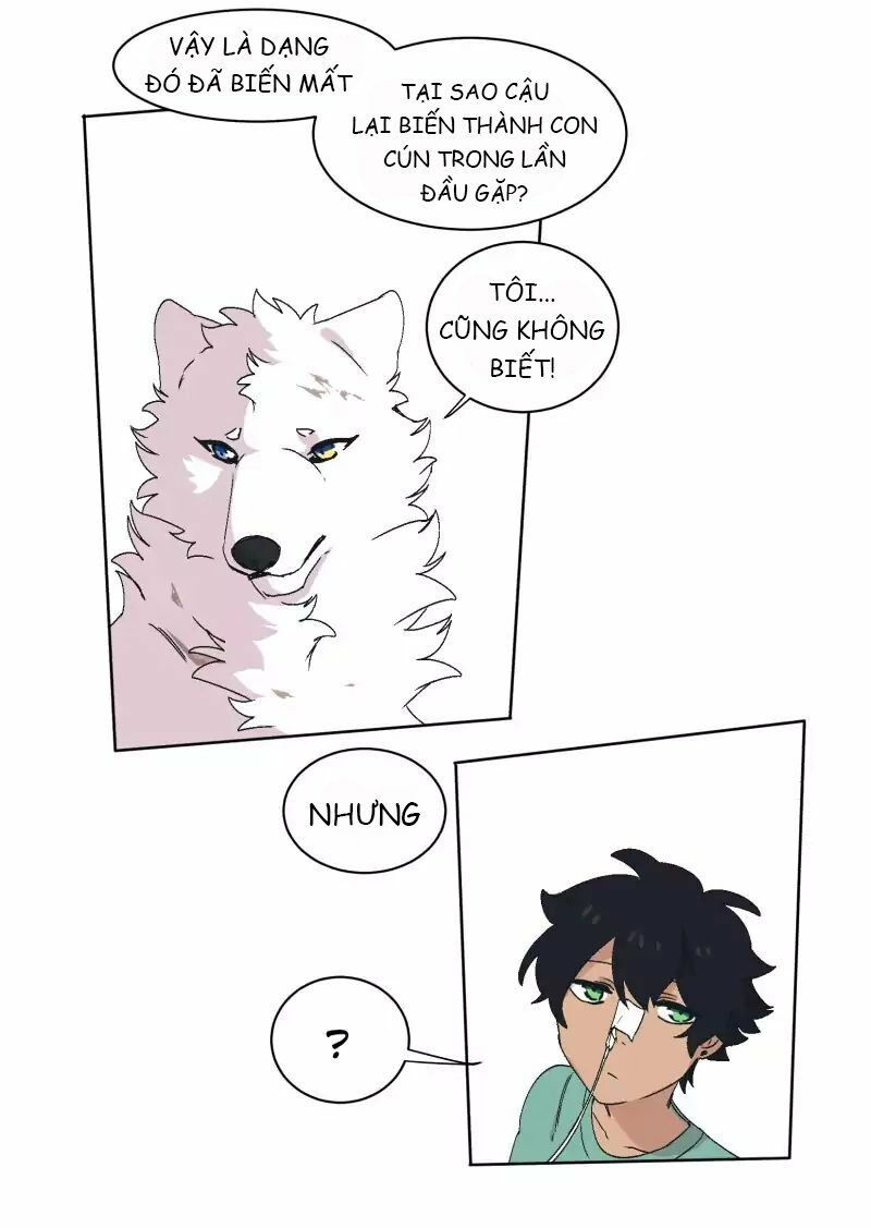 lumine - cội nguồn ánh sáng chapter 31 29