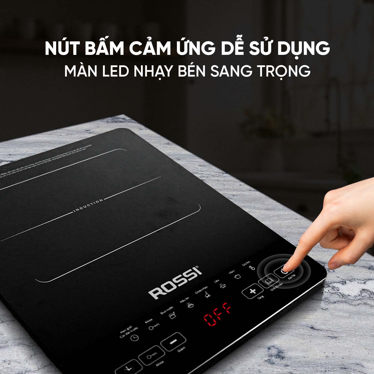 Bếp Từ Đơn Tân Á Đại Thành Rossi RS-1020CE01 Kèm Nồi - Hàng Chính Hãng