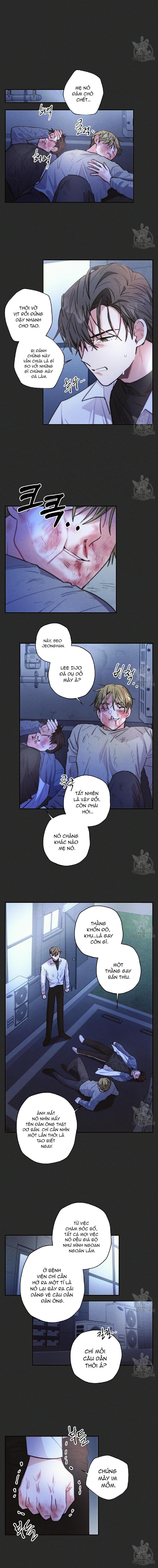 mưa giông chapter 54 5