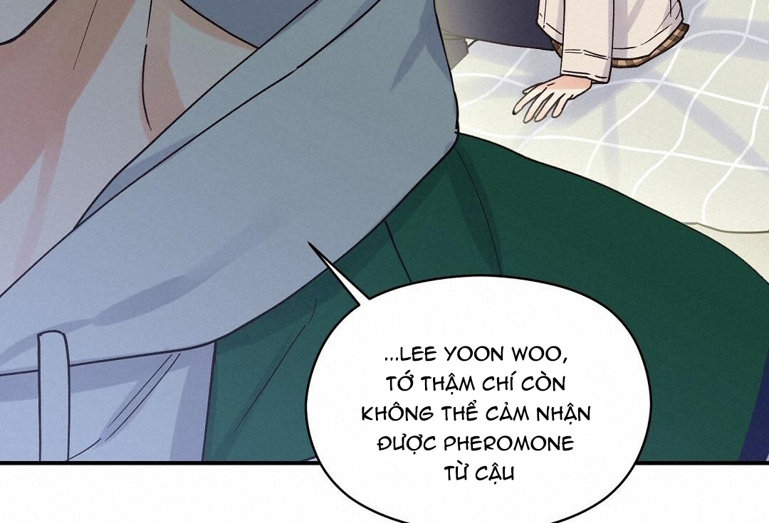 phức cảm tự ti của omega chapter 16 126