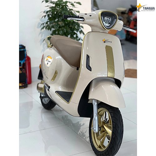 XE MÁY ĐIỆN TAHAWA ORLA