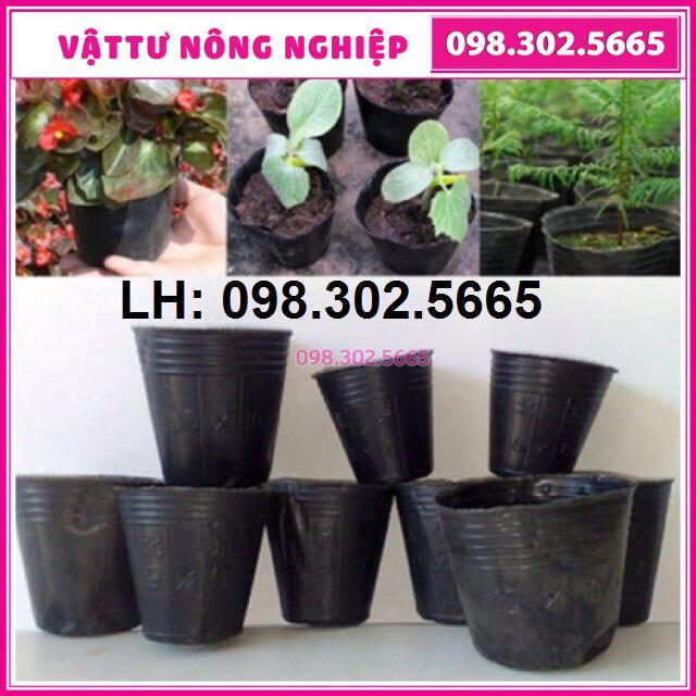 1 kg túi bầu ươm cây nhựa dẻo 13x12