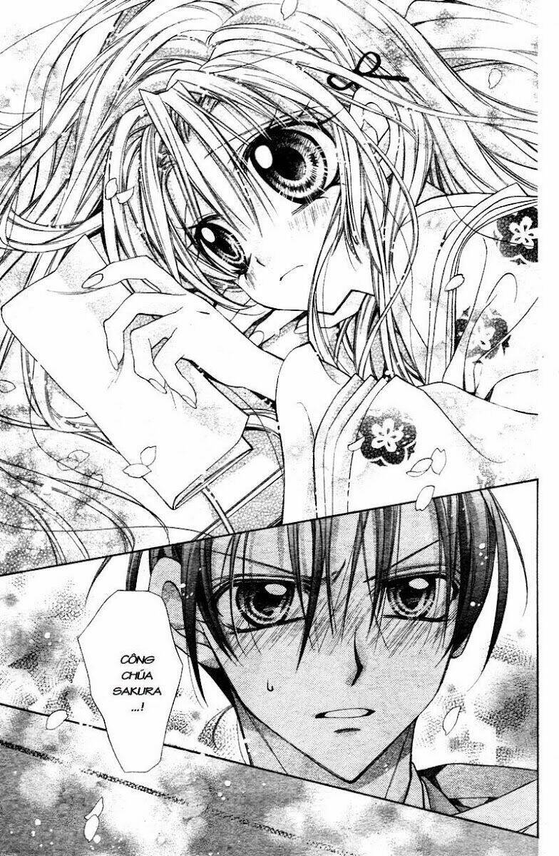 truyền thuyết công chúa hoa anh đào chapter 1 24