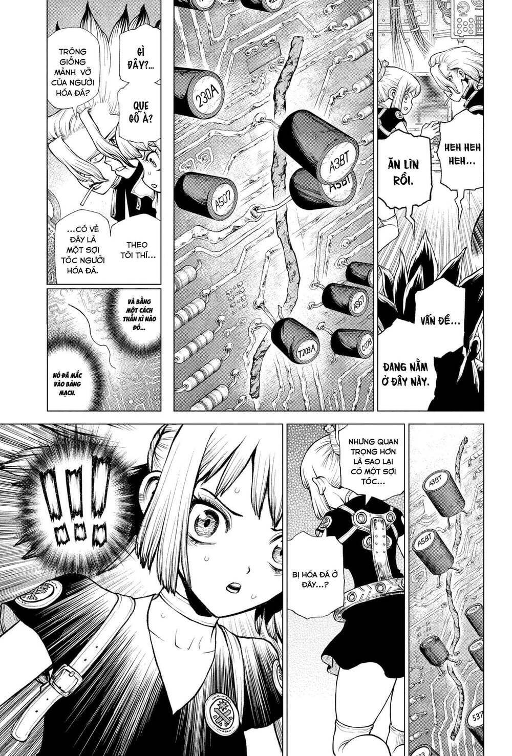 dr.stone - hồi sinh thế giới chapter 225 8